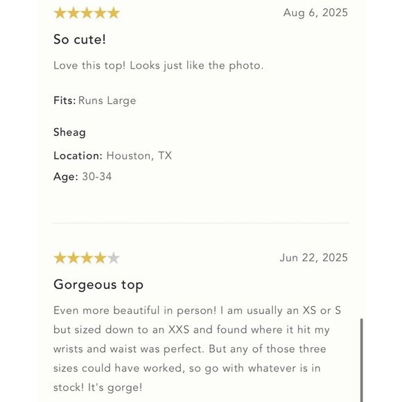 NWT Size L - ANTHROPOLOGIE Sheer Embroidered Mesh Blouse (NWT US$128) - Picture 14 of 16